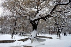 打球，賞雪，盡在檸檬運(yùn)動(dòng)空間！